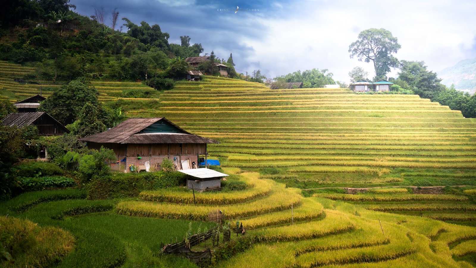 Eco Hills Homestay, Sapa