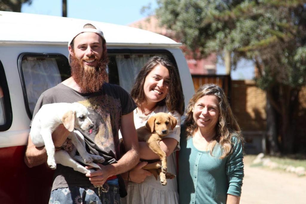 El Arbol Beach Hostel, La Serena