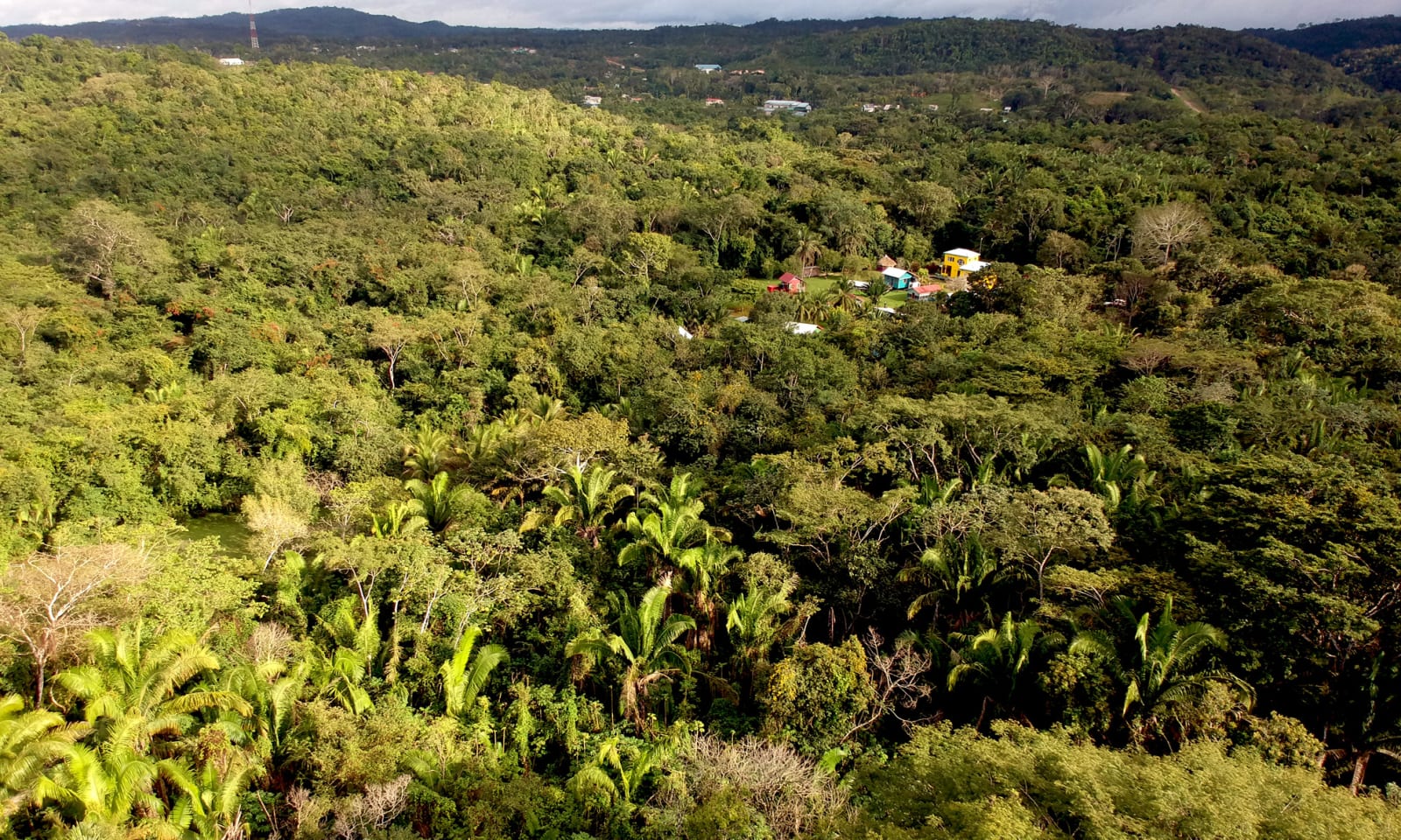 Lower Dover, San Ignacio