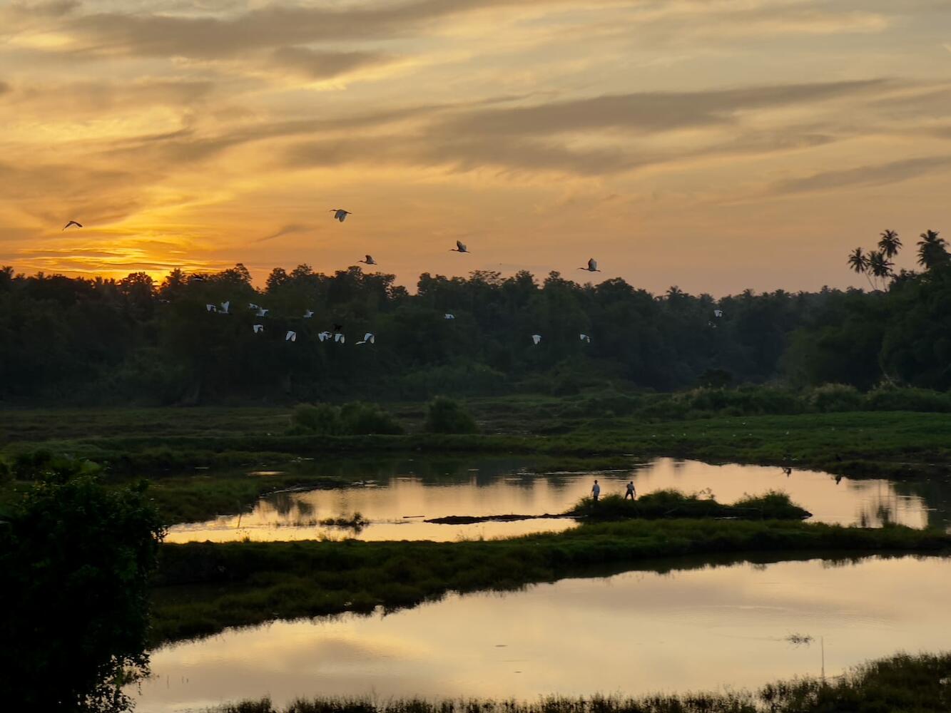 Ceylon Lodge, Negombo