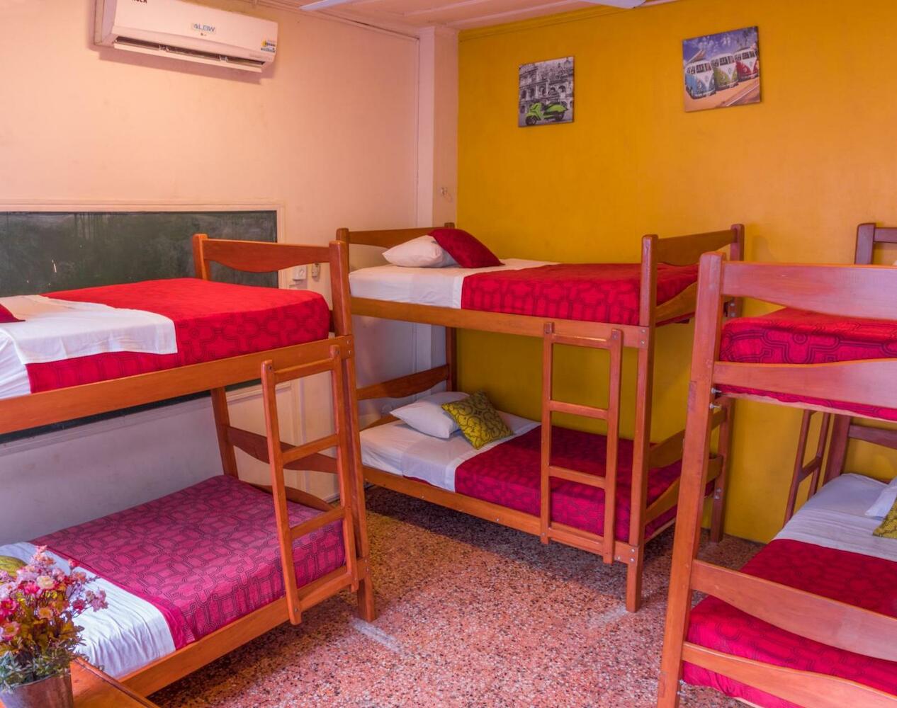 Flying Dog Hostel, Iquitos