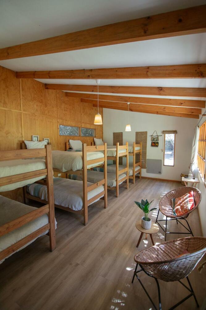 El Arbol Beach Hostel, La Serena