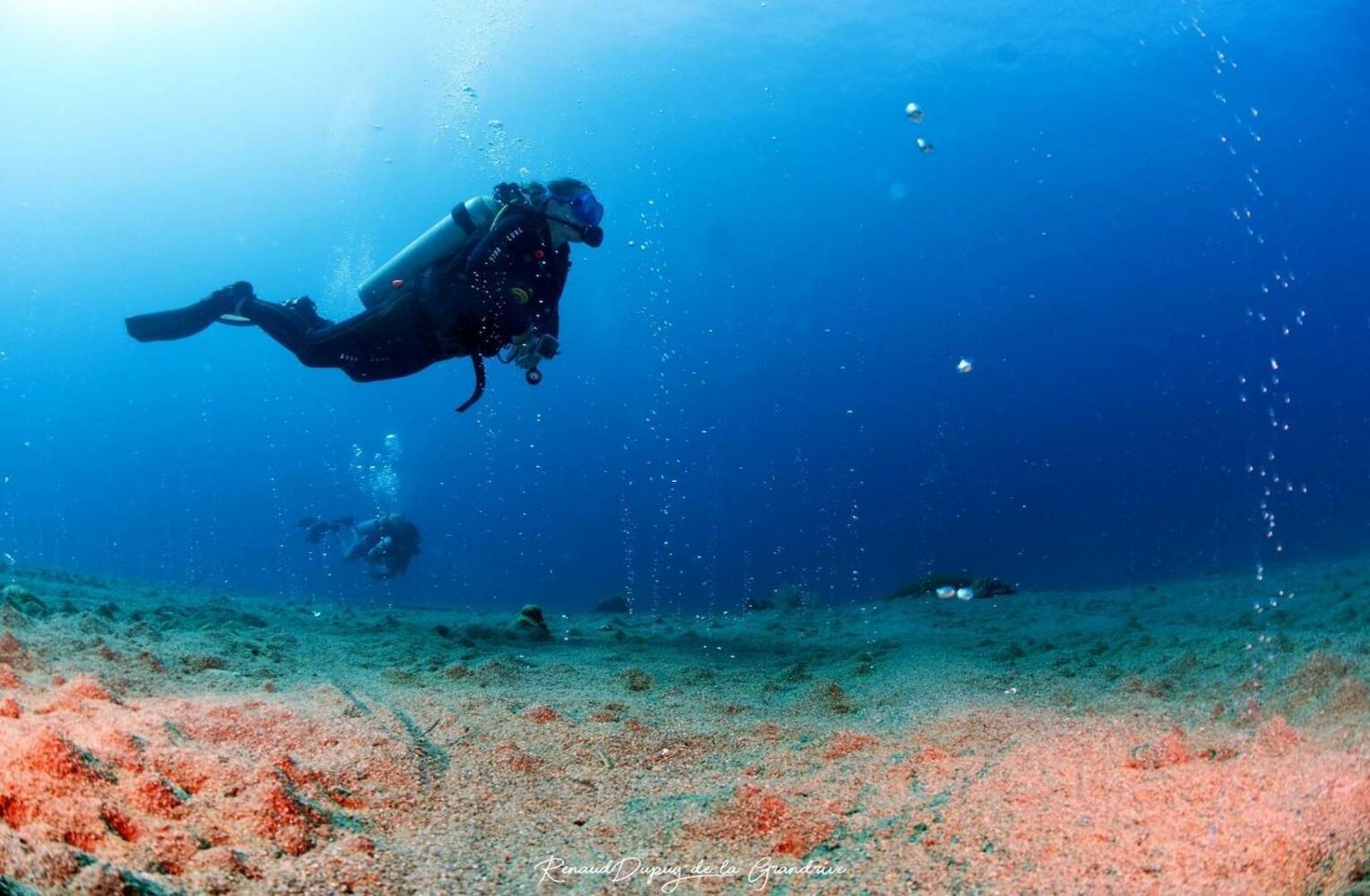 La Tortue Diving Resort, Dumaguete