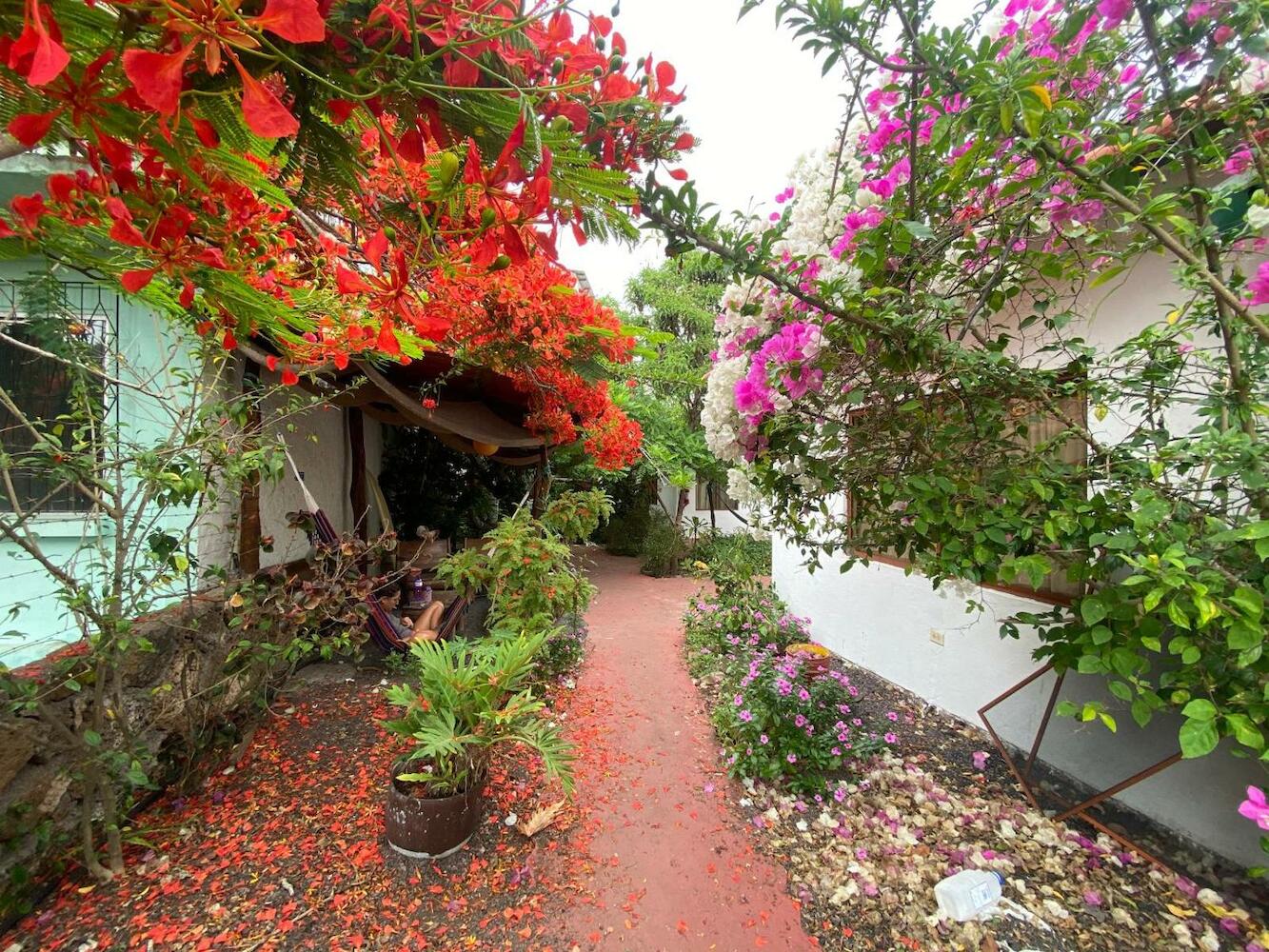 Hostal Vista al Mar, Galapagos Islands