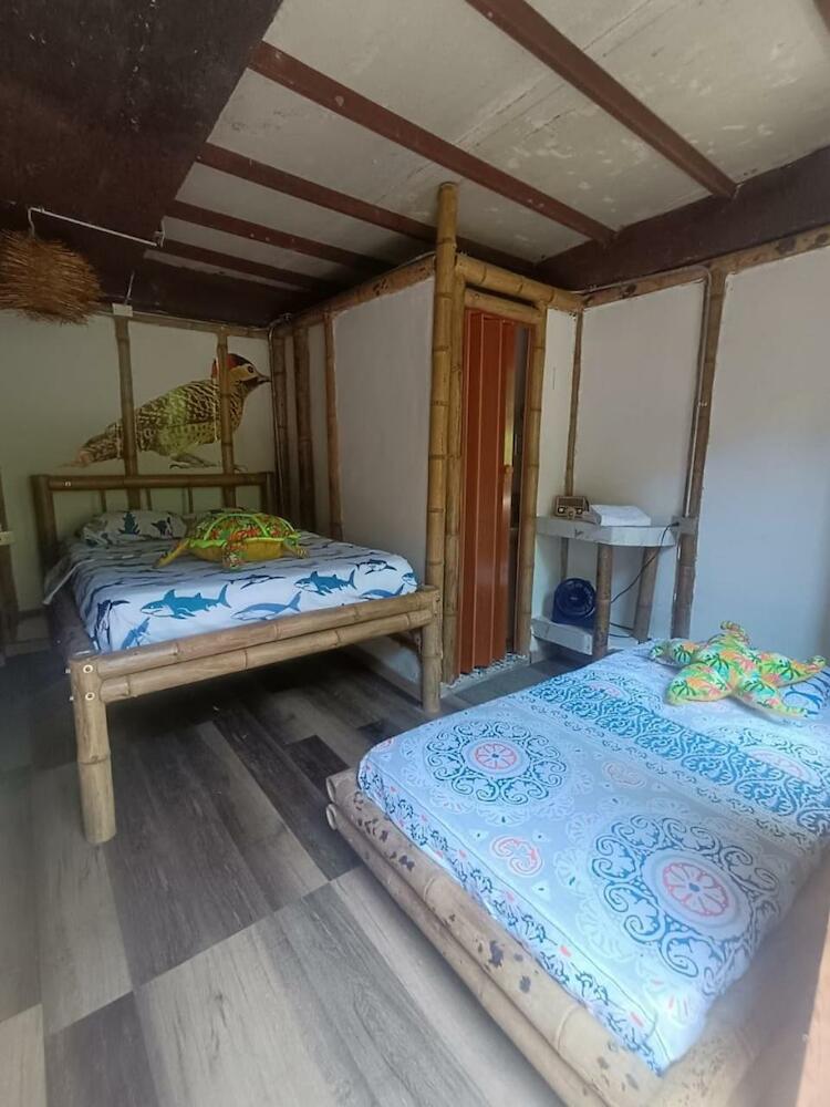 Glamping Bio Coliving Tayrona, Santa Marta