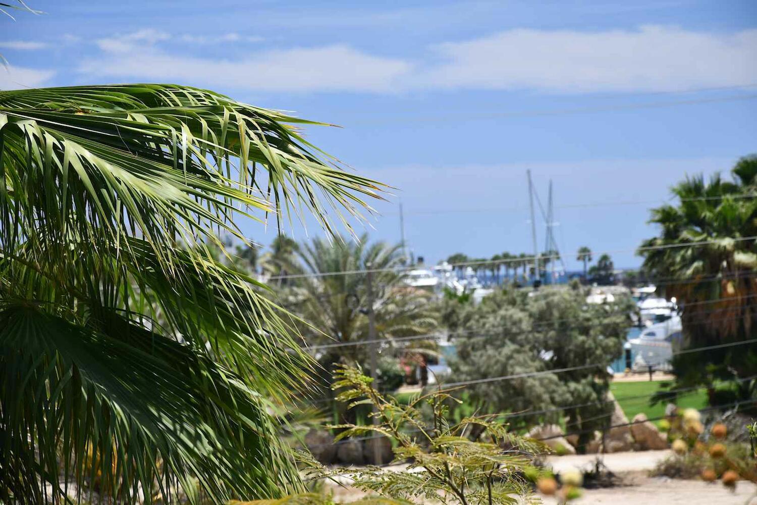 La Playita Hostal, San José del Cabo