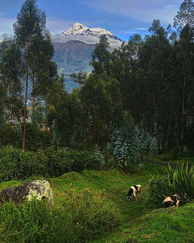 El Tio Hostal, Otavalo