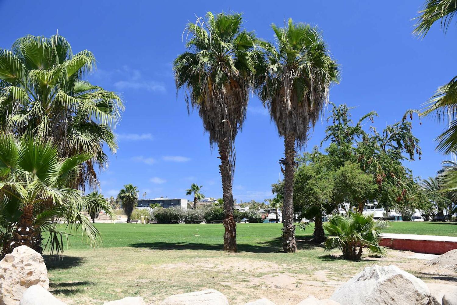 La Playita Hostal, San José del Cabo