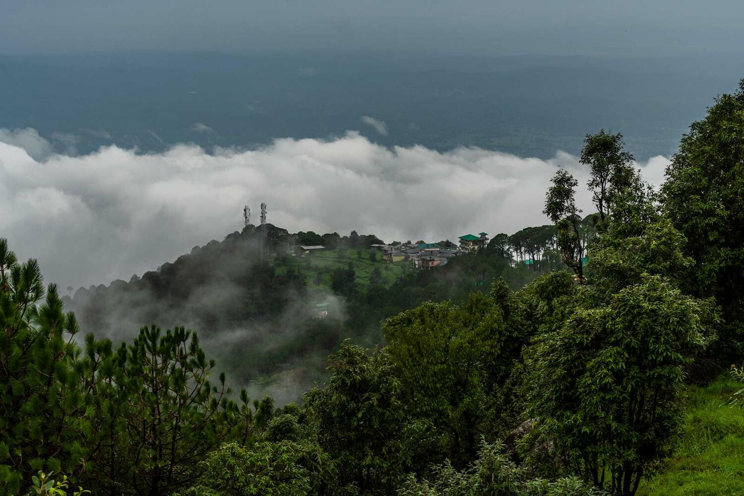 Vibe Hostel, McLeod Ganj