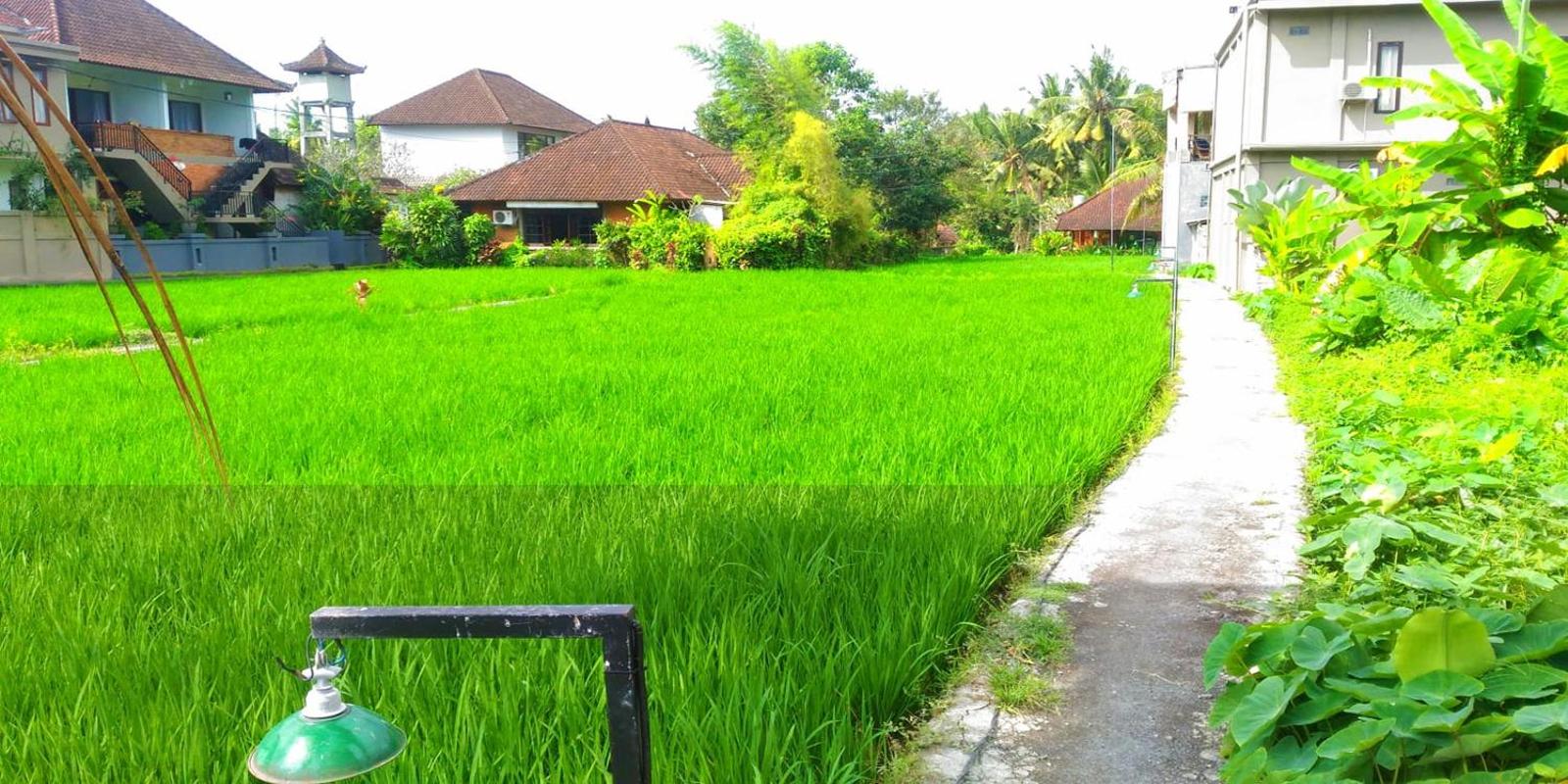 Keladi House, Ubud