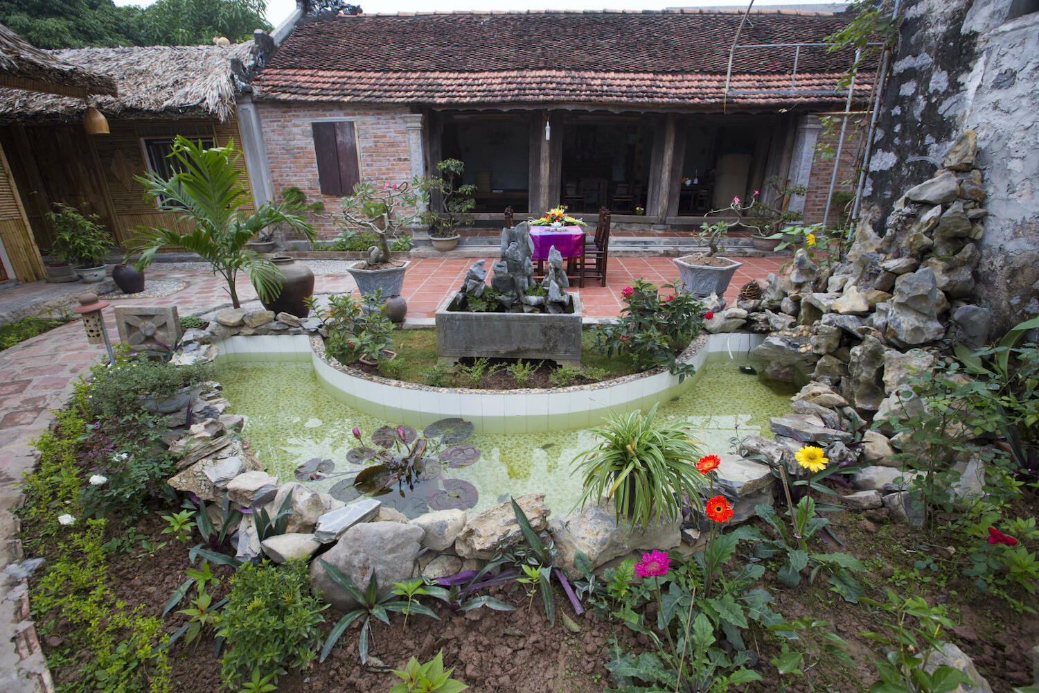 Tam Coc Palm House, Ninh Binh