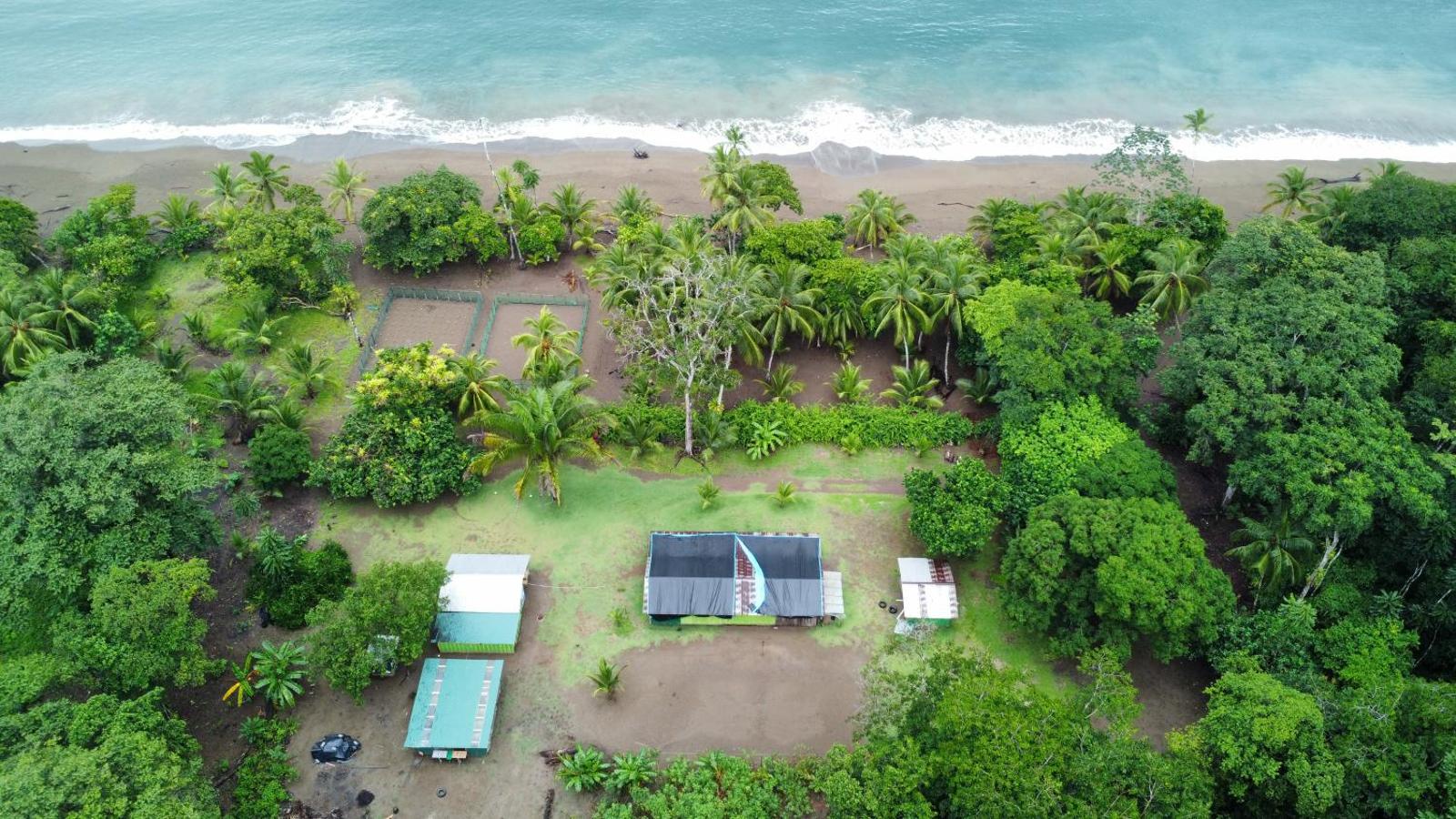 Habitación Compartida Con Tres Comidas Incluidas Y Dos Horas De Electricidad Dia, Bahía Drake