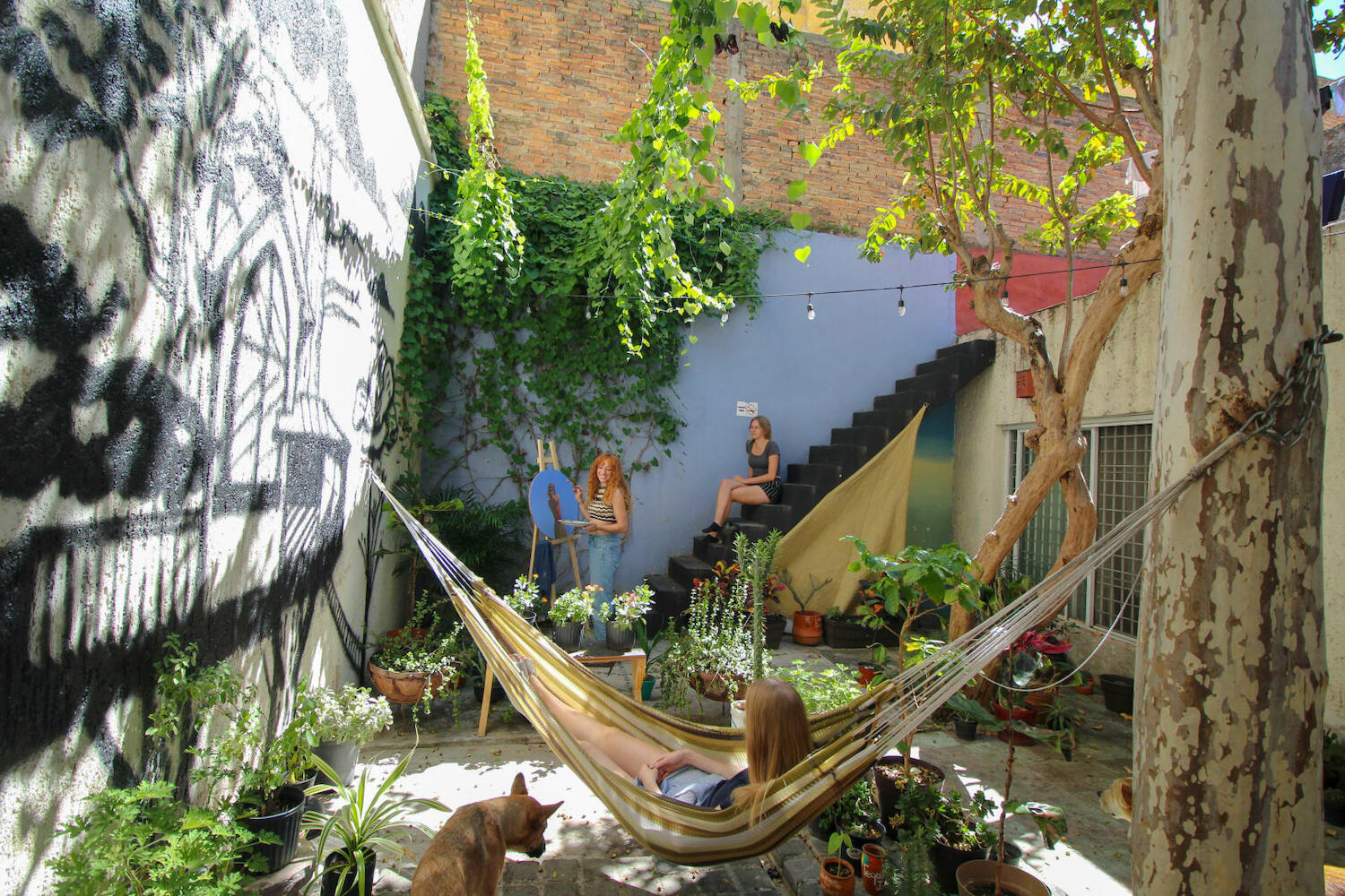 Art House Hostel, Guadalajara