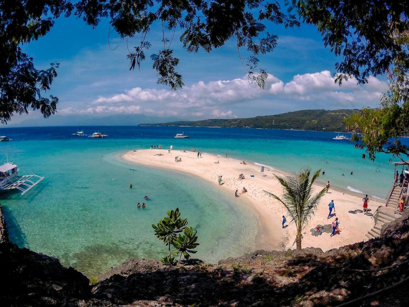 Sharky Hostel Oslob, Cebu