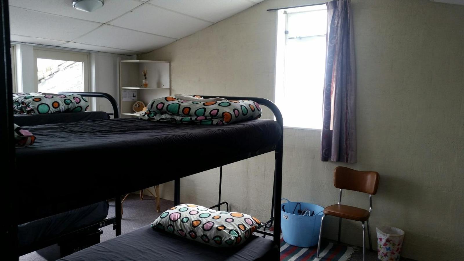 Loft 109 Backpackers Hostel, Tauranga