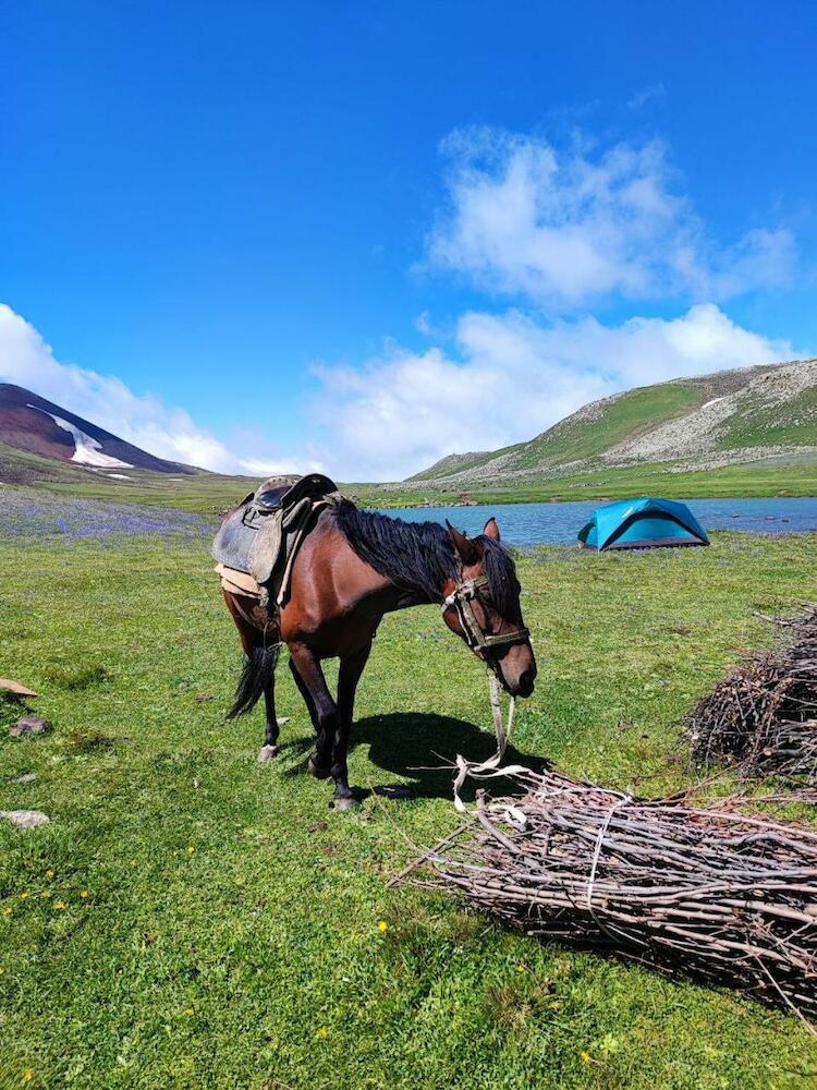 Highland Hostel, Yerevan