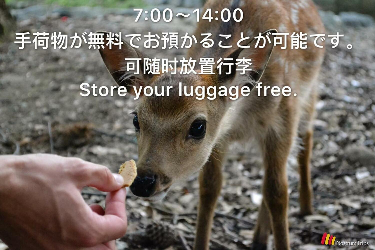 Deer hostel- - 外国人向け - 日本語予約不可, Nara