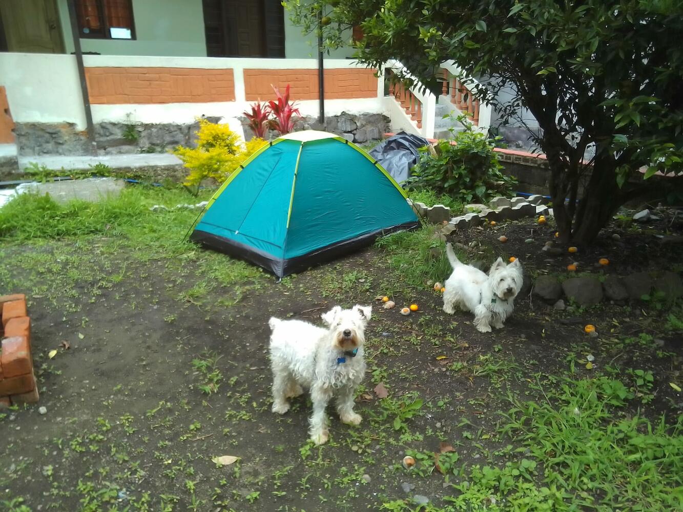 Villa Monica, Baños