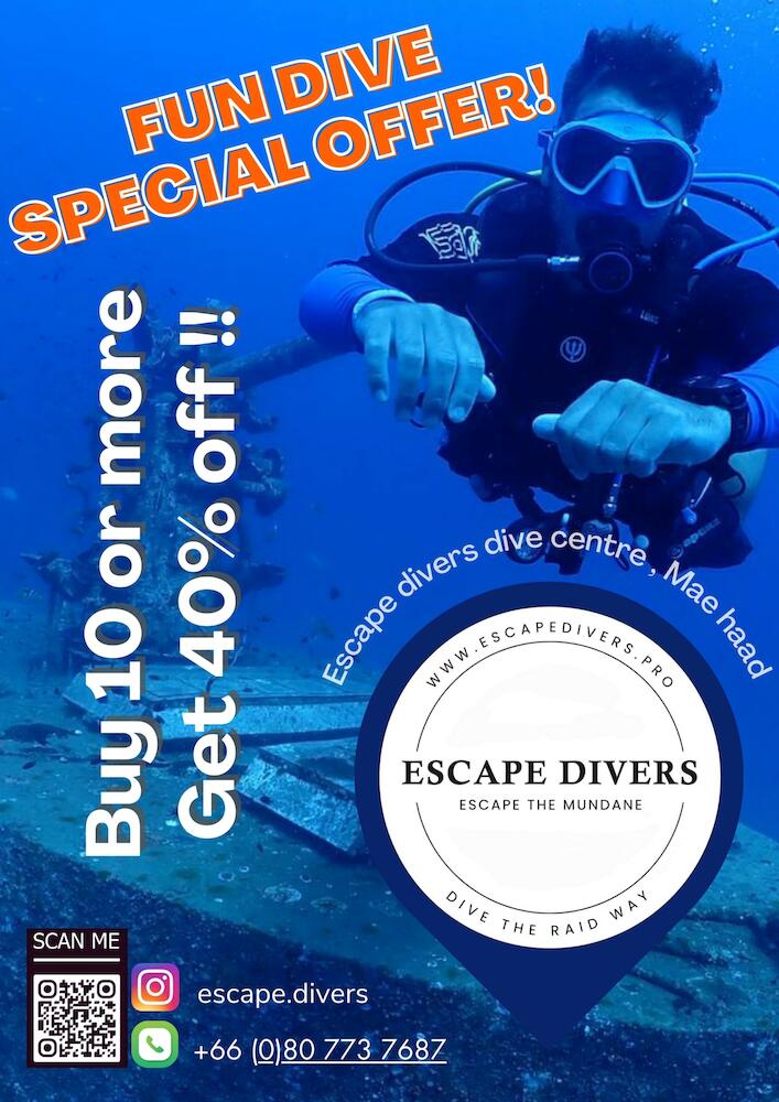 Escape Divers Jungle Hostel, Koh Tao