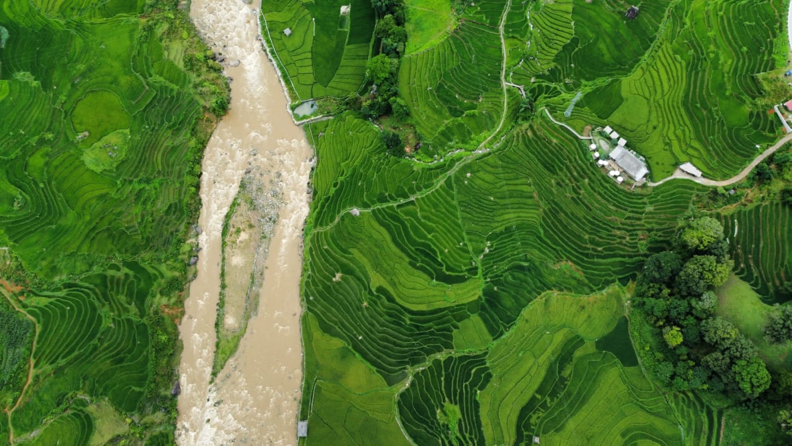 Hoa's Homestay, Sapa