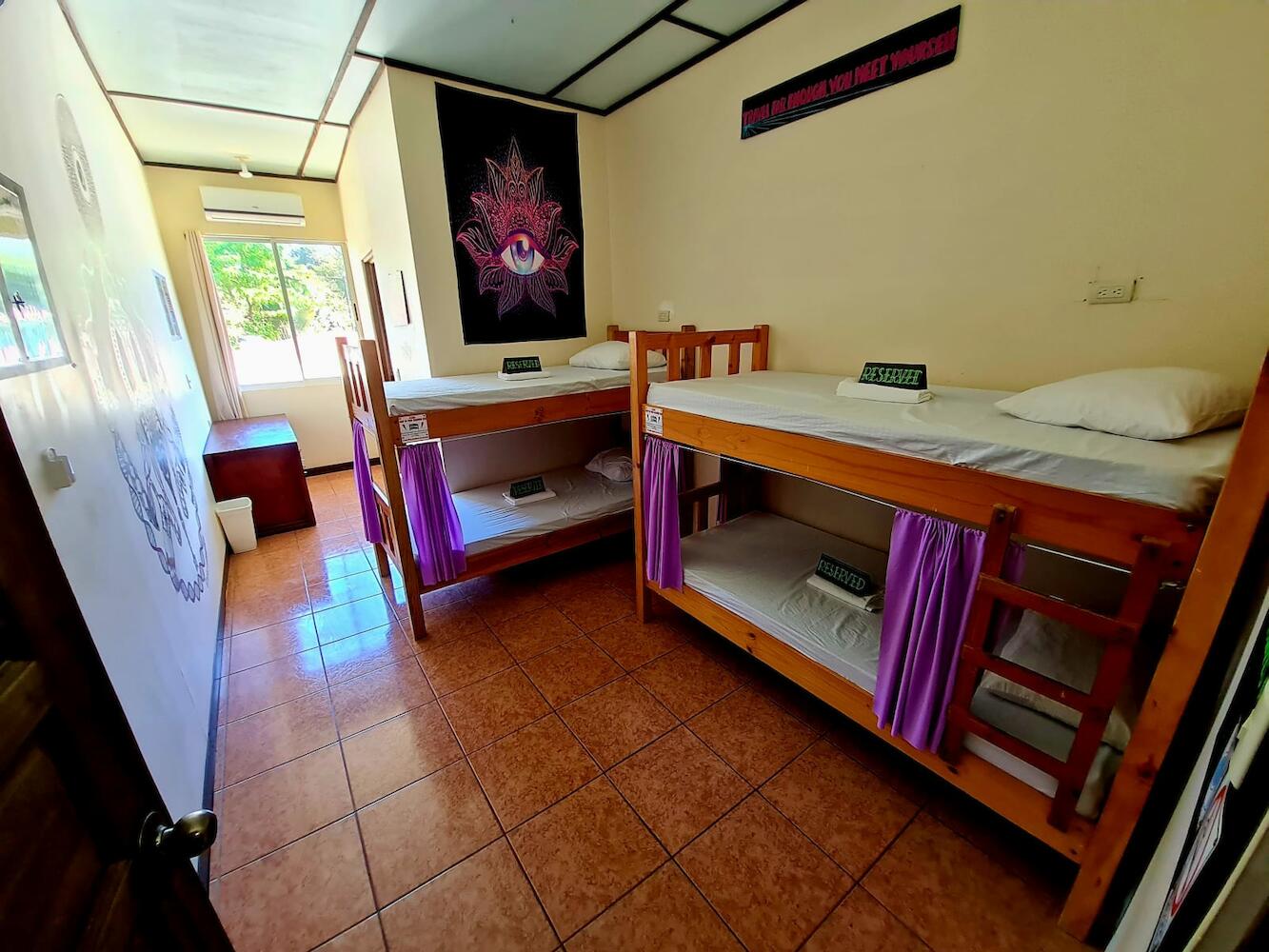 Slow Monkey Hostel, Santa Teresa