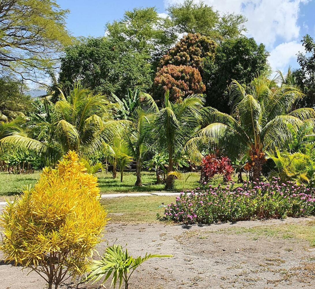 Rancho Tranquillo, Ometepe