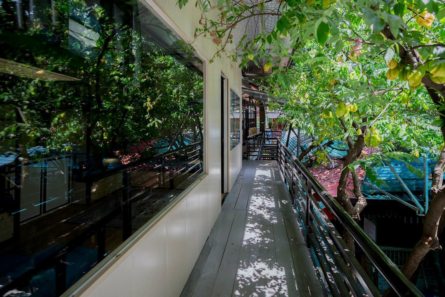 City Garden Hostel, Ninh Binh