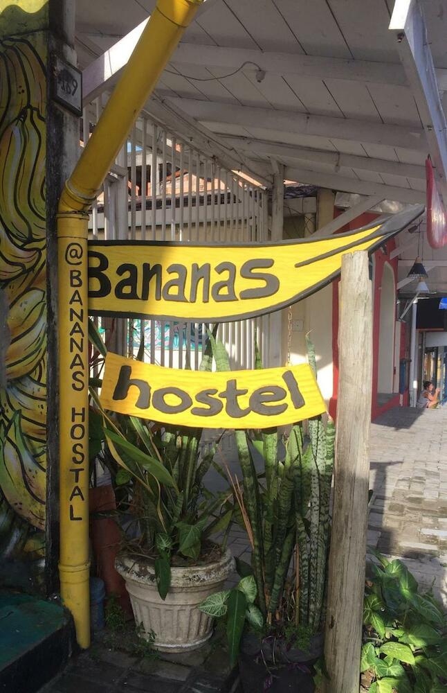 Bananas Hostel, Itacaré