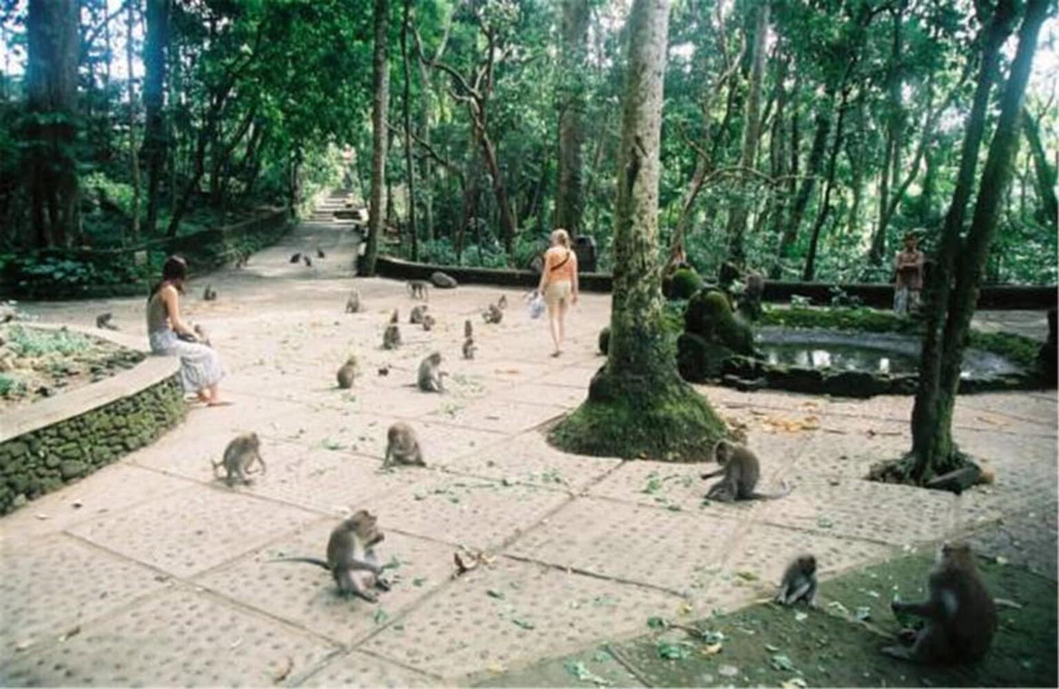 Aru House, Ubud