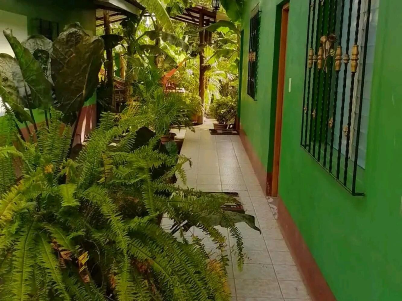 Hostel Coco's, Ometepe