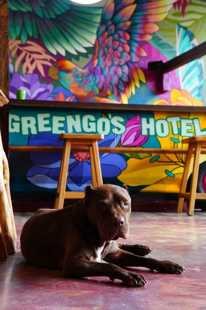 Greengo's, Lanquin