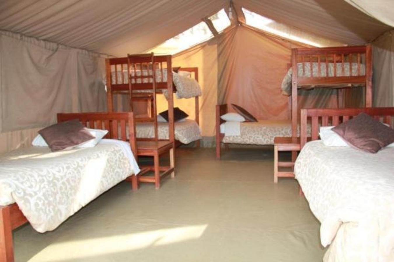 Wildebeest Camp, Nairobi