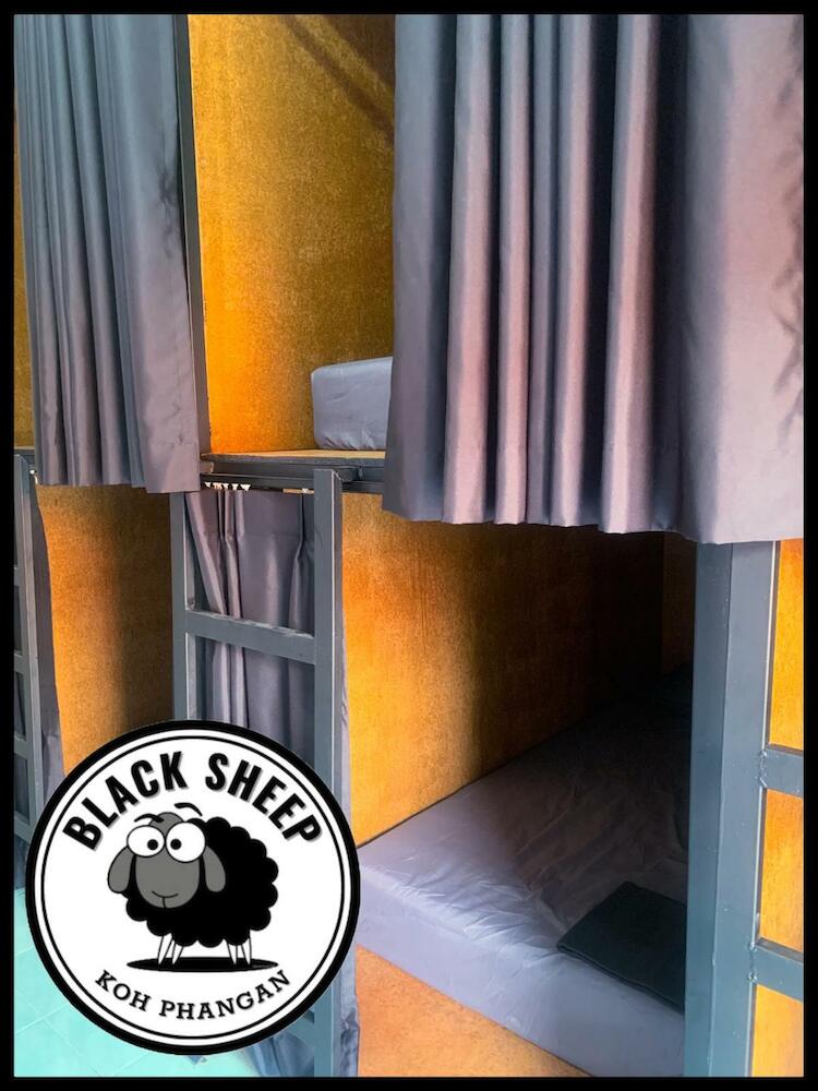 The Black Sheep Hostel, Koh Phangan