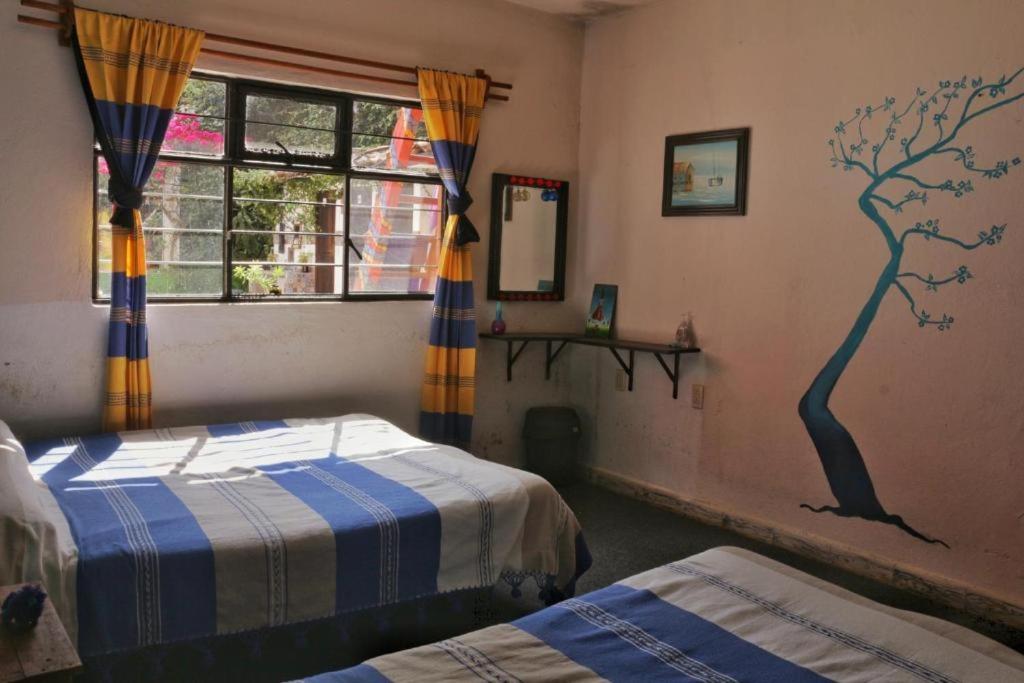 Hostel Mirador, San Cristóbal de las Casas