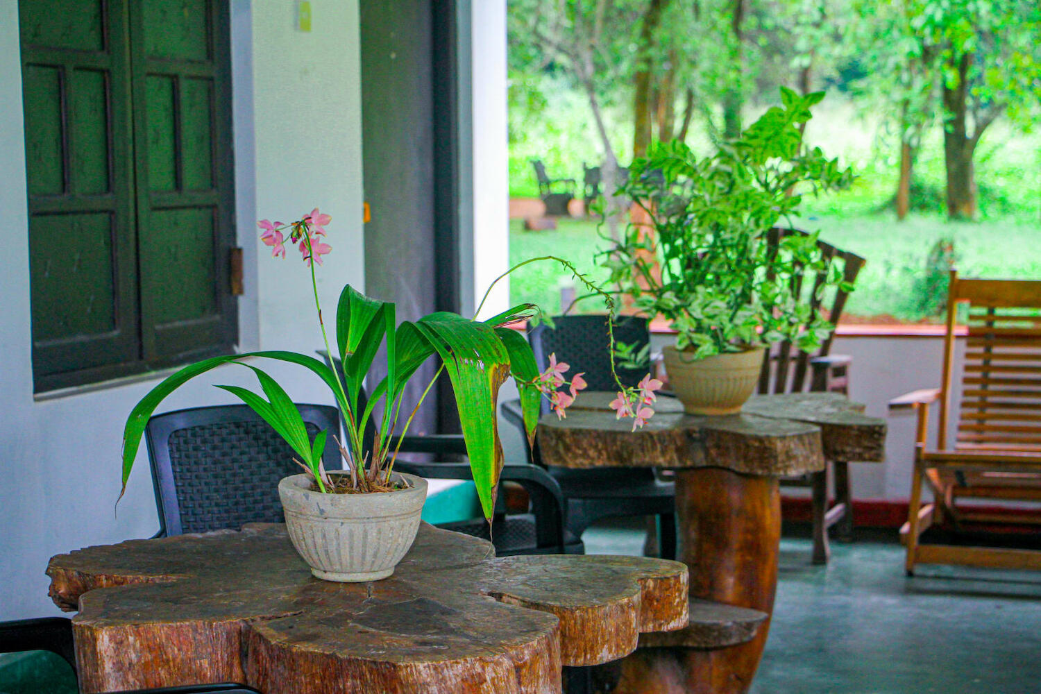 Banana Rest Hostel, Sigiriya