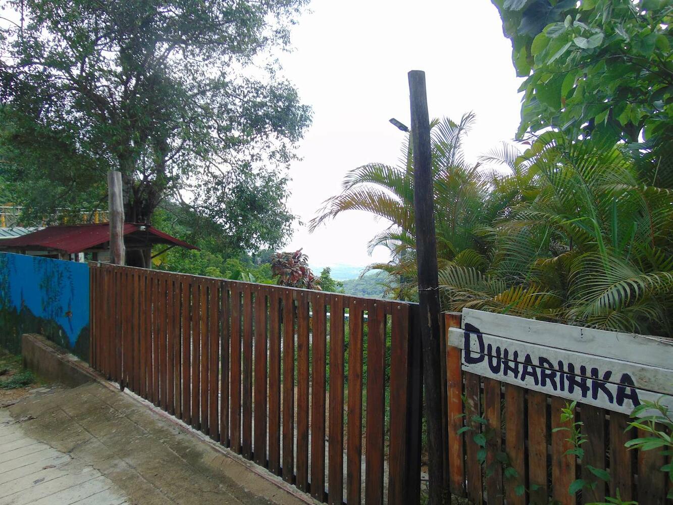 Dunarinka, Minca