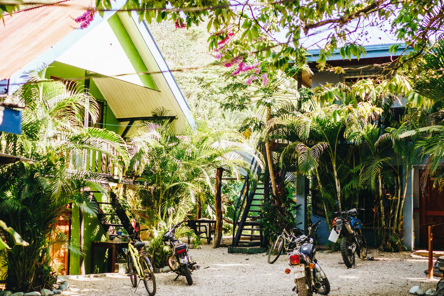 Surf Paradise, Santa Teresa