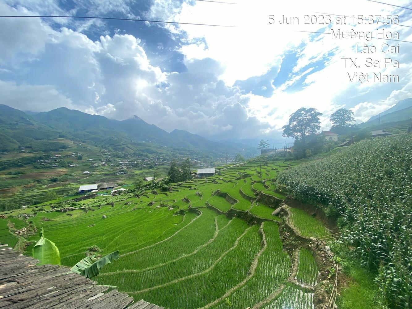 Hoa's Homestay, Sapa