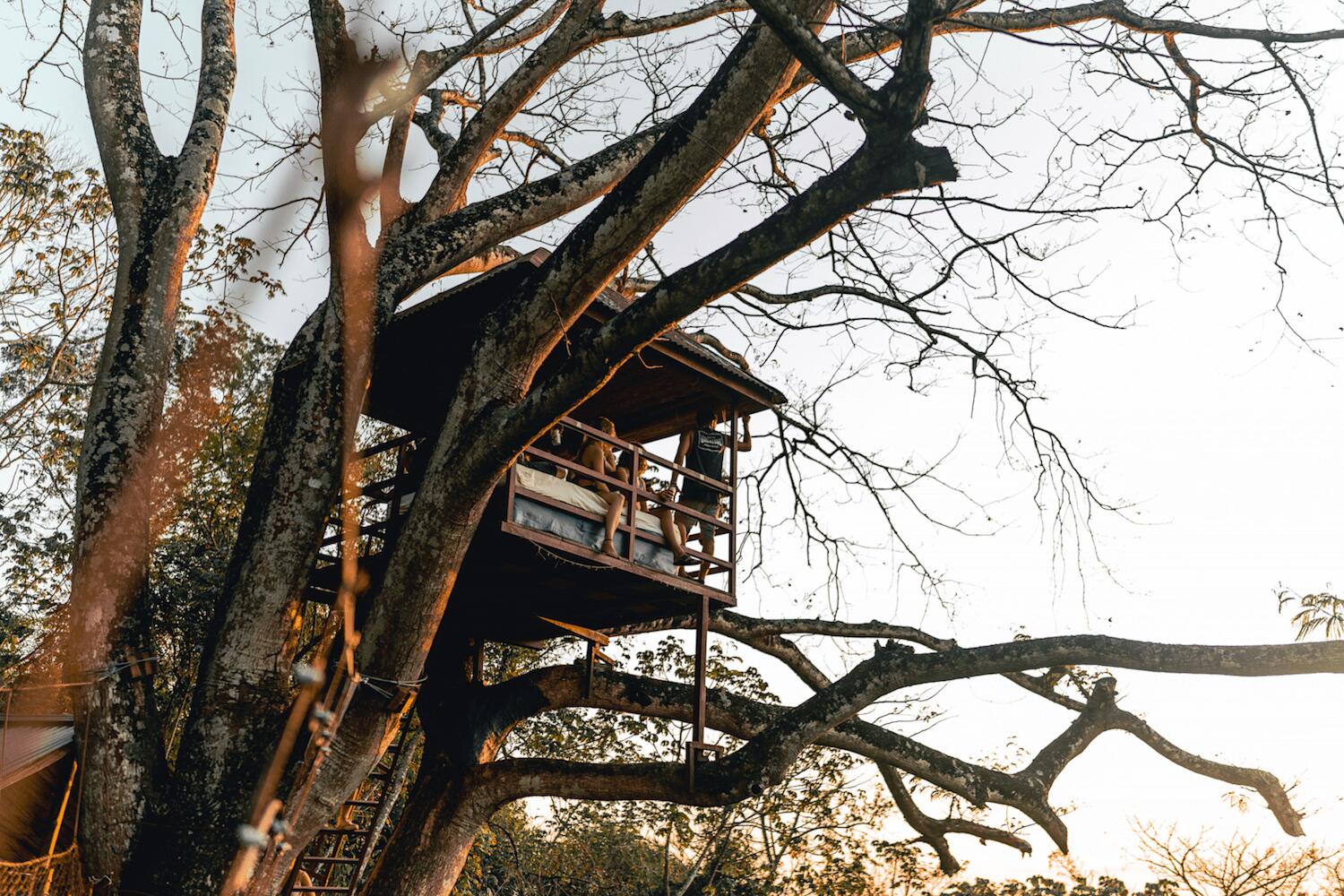 The Treehouse, Granada