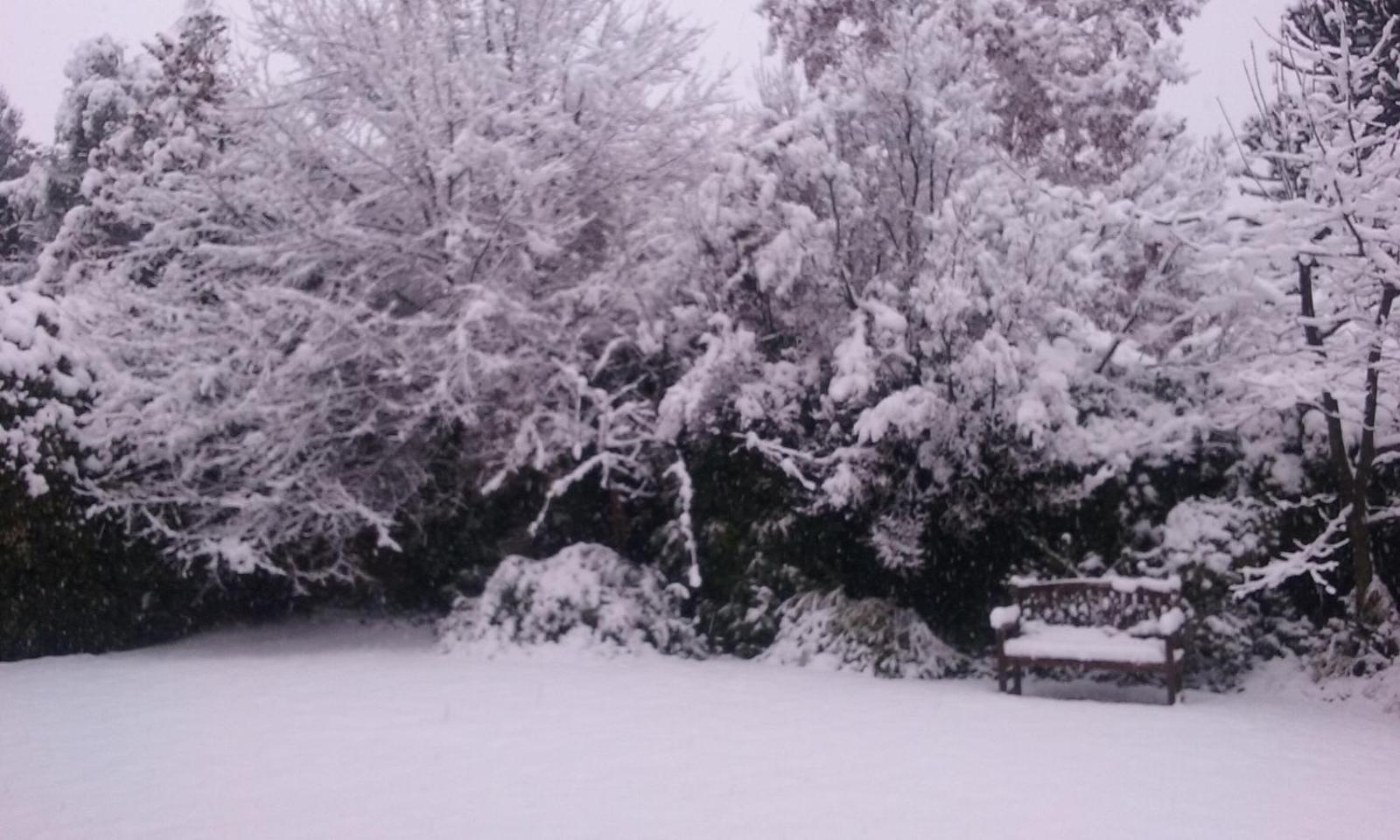 Periko's Youth Hostel, Bariloche