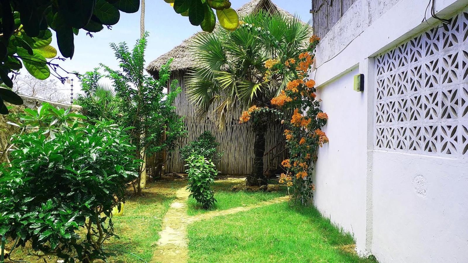 Diani Backpackers, Diani Beach