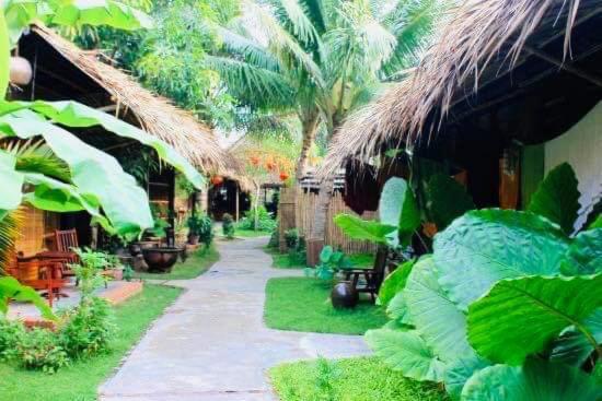 Under The Coconut Tree, Hoi An