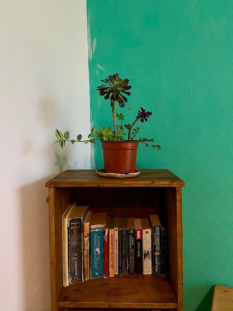 Hostal Posada Mi Casa, San Cristóbal de las Casas