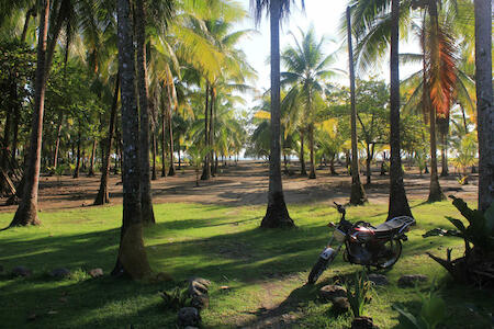 Las Olas Hostel, Playa Bandera