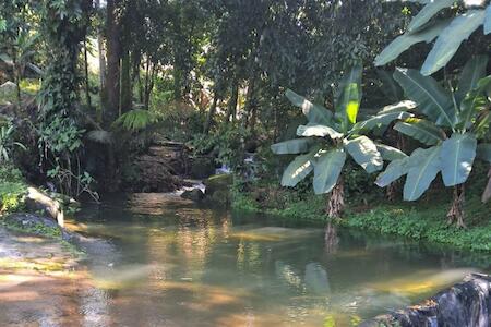 Sitio Na Beira Da Cachoeira No Estreito Em Cachoeiras De Macacu Rj