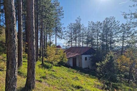 Bujtinat Skenderi Gjinar 1, Gjinar