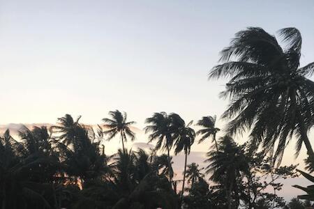 Sleep Soundly By The Sea, Trat