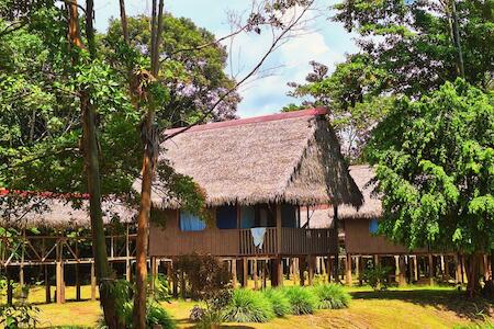 Amazon Curassow Lodge & Expeditions, Paraíso