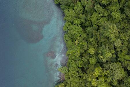 Liquid Jungle Lab, Isla Simca