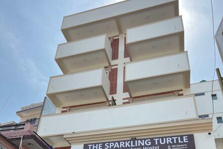 The Sparkling Turtle Backpackers Hostel, Kathmandu